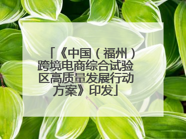 《中国（福州）跨境电商综合试验区高质量发展行动方案》印发