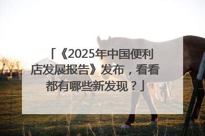 《2025年中国便利店发展报告》发布，看看都有哪些新发现？