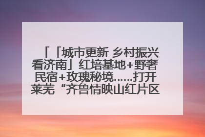 「城市更新 乡村振兴看济南」红培基地+野奢民宿+玫瑰秘境……打开莱芜“齐鲁情映山红片区”的破圈秘籍