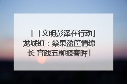 「文明彭泽在行动」龙城镇：桑果盈筐情绵长 育践五柳报春晖