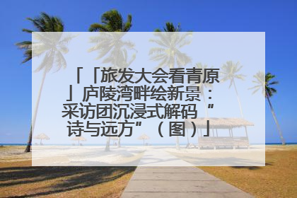 「旅发大会看青原」庐陵湾畔绘新景：采访团沉浸式解码“诗与远方”（图）