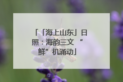 「海上山东」日照：海韵三文 “鲜”机涌动