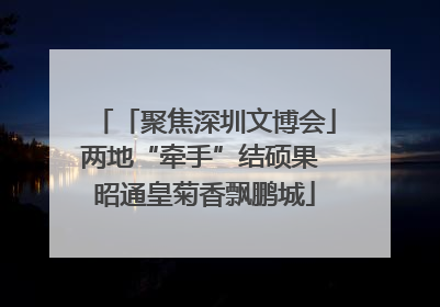 「聚焦深圳文博会」两地“牵手”结硕果 昭通皇菊香飘鹏城