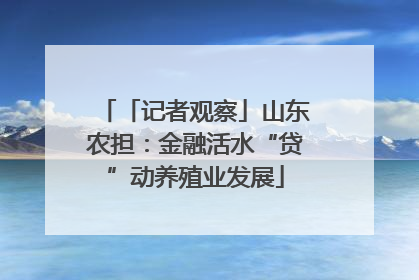 「记者观察」山东农担：金融活水“贷”动养殖业发展