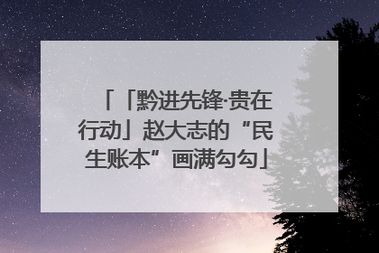 「黔进先锋·贵在行动」赵大志的“民生账本”画满勾勾