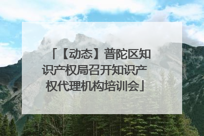 【动态】普陀区知识产权局召开知识产权代理机构培训会