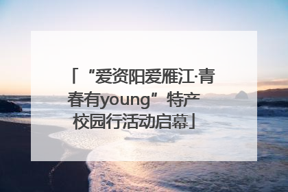 “爱资阳爱雁江·青春有young”特产校园行活动启幕