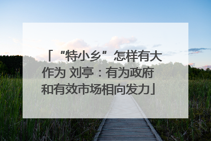 “特小乡”怎样有大作为 刘亭：有为政府和有效市场相向发力