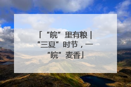 “皖”里有粮｜“三夏”时节，一“皖”麦香