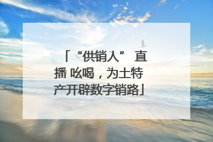 “供销人” 直播 吆喝，为土特产开辟数字销路