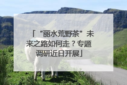 “丽水荒野茶”未来之路如何走？专题调研近日开展