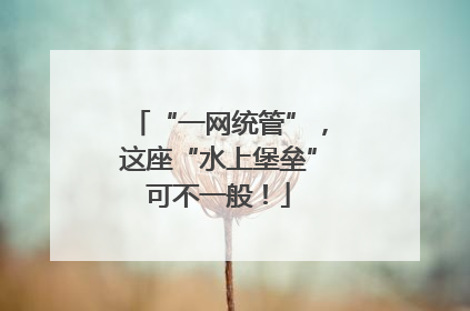 “一网统管”，这座“水上堡垒”可不一般！