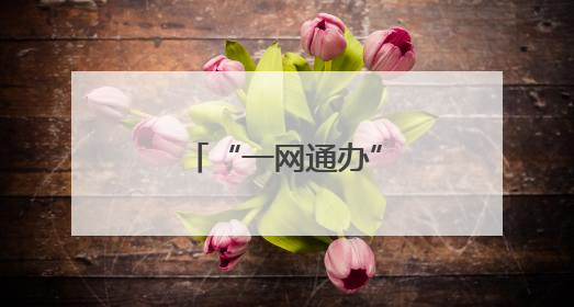 “一网通办”，全力为夏收生产保驾护航
