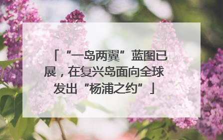 “一岛两翼”蓝图已展，在复兴岛面向全球发出“杨浦之约”