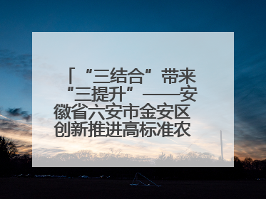 “三结合”带来“三提升”——安徽省六安市金安区创新推进高标准农田建设