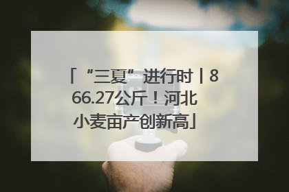 “三夏”进行时丨866.27公斤！河北小麦亩产创新高