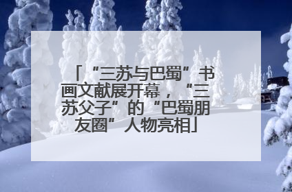 “三苏与巴蜀”书画文献展开幕，“三苏父子”的“巴蜀朋友圈”人物亮相