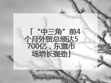 “中三角”前4个月外贸总额达5700亿，东盟市场增长强劲