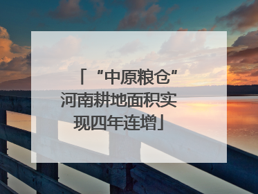 “中原粮仓”河南耕地面积实现四年连增