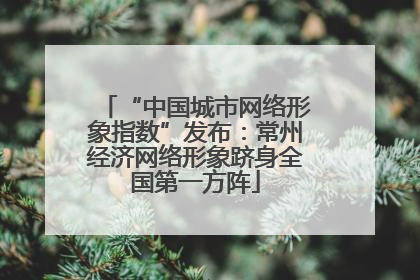 “中国城市网络形象指数”发布：常州经济网络形象跻身全国第一方阵