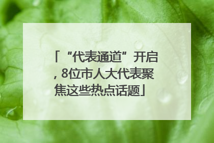 “代表通道”开启，8位市人大代表聚焦这些热点话题