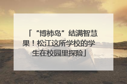 “博柿岛”结满智慧果！松江这所学校的学生在校园里探险