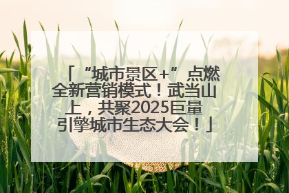 “城市景区+”点燃全新营销模式！武当山上，共聚2025巨量引擎城市生态大会！
