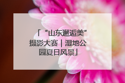“山东邂逅美”摄影大赛｜湿地公园夏日风景