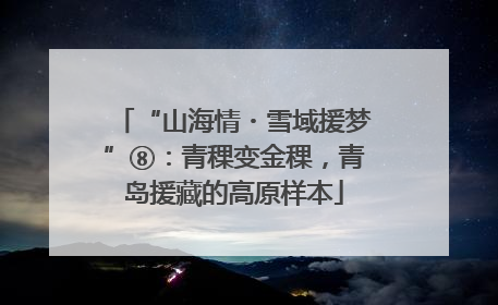 “山海情・雪域援梦”⑧：青稞变金稞，青岛援藏的高原样本