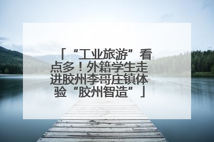 “工业旅游”看点多！外籍学生走进胶州李哥庄镇体验“胶州智造”