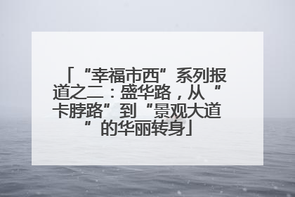 “幸福市西”系列报道之二：盛华路，从“卡脖路”到“景观大道”的华丽转身