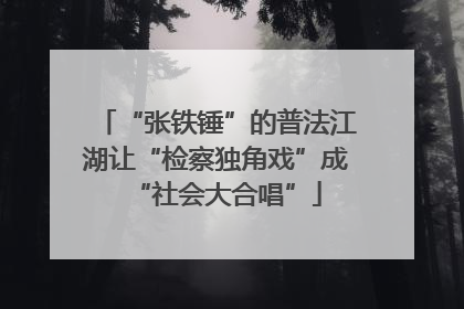 “张铁锤”的普法江湖让“检察独角戏”成“社会大合唱”