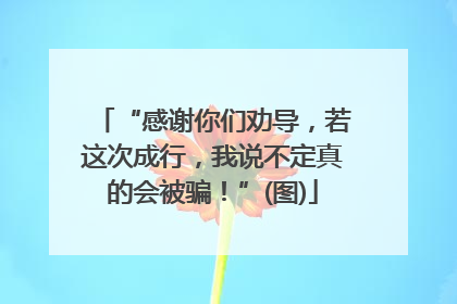 “感谢你们劝导，若这次成行，我说不定真的会被骗！”(图)