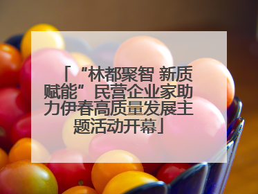 “林都聚智 新质赋能”民营企业家助力伊春高质量发展主题活动开幕
