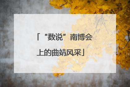 “数说”南博会上的曲靖风采