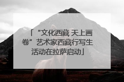 “文化西藏 天上画卷”艺术家西藏行写生活动在拉萨启动