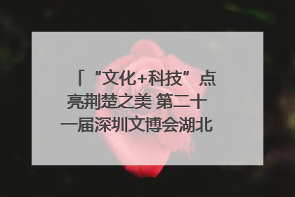 “文化+科技”点亮荆楚之美 第二十一届深圳文博会湖北馆抢“鲜”看