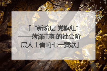 “新阶层 党旗红”——菏泽市新的社会阶层人士奏响七一赞歌