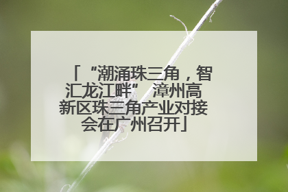 “潮涌珠三角，智汇龙江畔” 漳州高新区珠三角产业对接会在广州召开