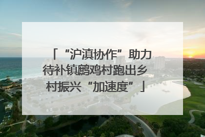 “沪滇协作”助力待补镇鹧鸡村跑出乡村振兴“加速度”