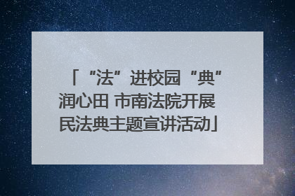 “法”进校园“典”润心田 市南法院开展民法典主题宣讲活动