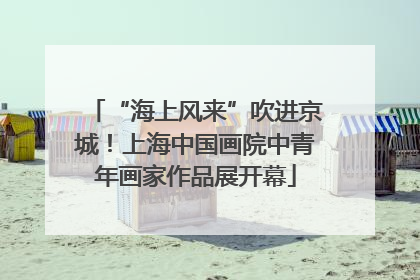 “海上风来”吹进京城！上海中国画院中青年画家作品展开幕