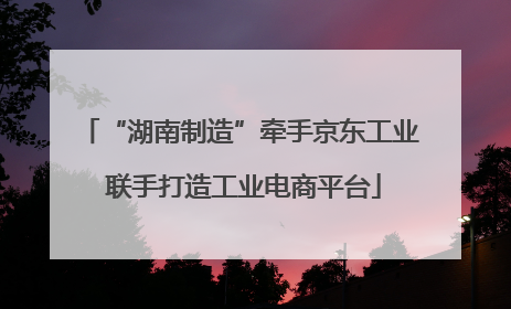 “湖南制造”牵手京东工业 联手打造工业电商平台