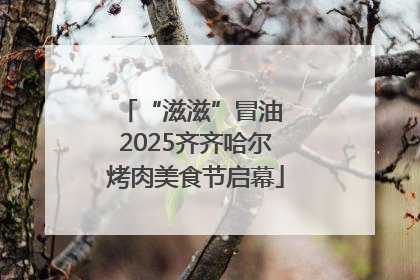 “滋滋”冒油 2025齐齐哈尔烤肉美食节启幕