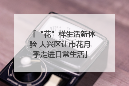 “花”样生活新体验 大兴区让市花月季走进日常生活