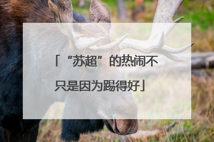 “苏超”的热闹不只是因为踢得好