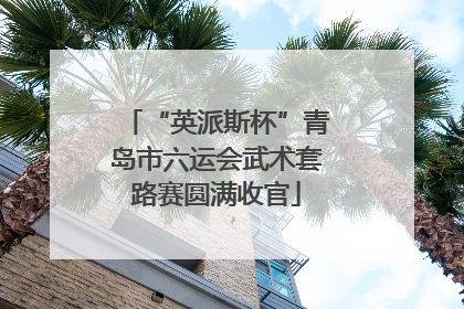“英派斯杯”青岛市六运会武术套路赛圆满收官