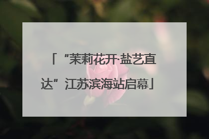 “茉莉花开·盐艺直达”江苏滨海站启幕