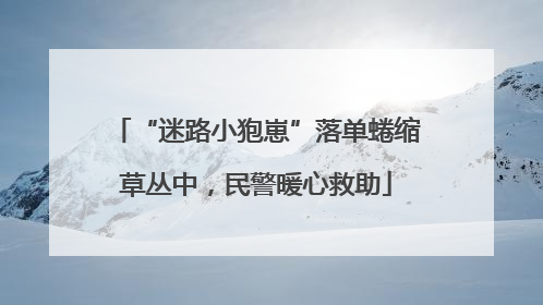 “迷路小狍崽”落单蜷缩草丛中，民警暖心救助