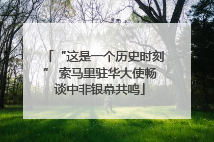 “这是一个历史时刻” 索马里驻华大使畅谈中非银幕共鸣